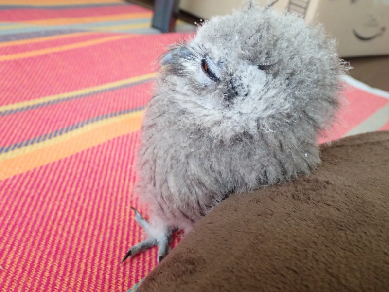 お気に入りの場所　其の一