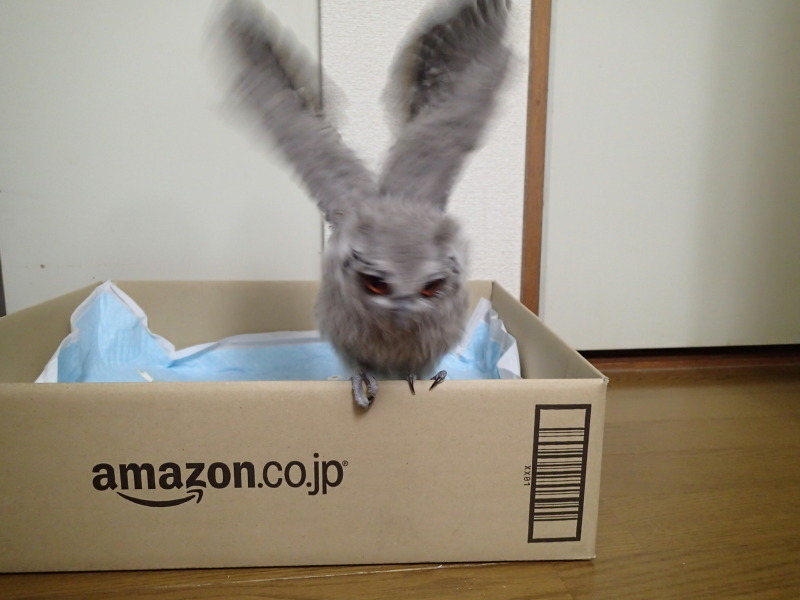 脱出成功！ところが・・。