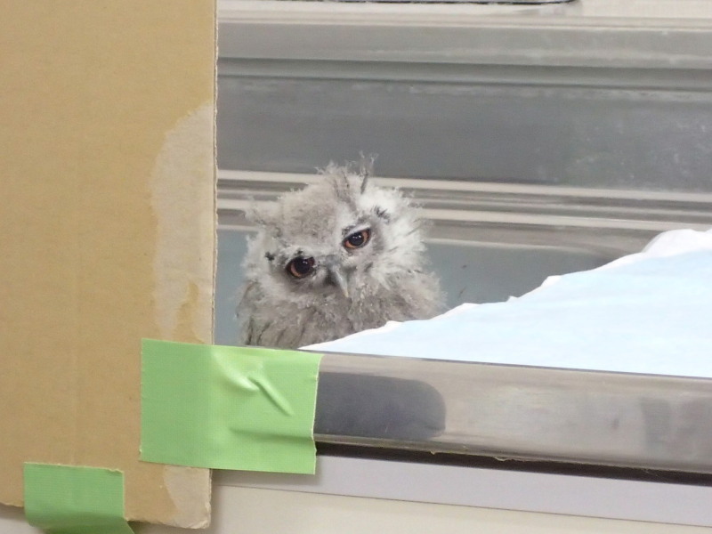 みんなと同じところにいるのがスキ。