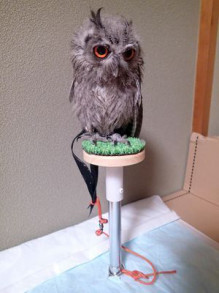 ファルコンブロックを改良してみた！