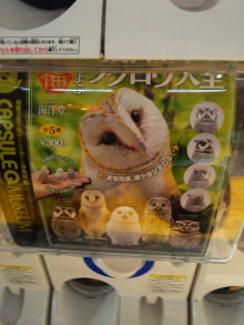 フクロウのガチャポン