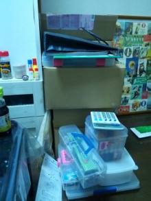 お掃除は嫌いだよ。