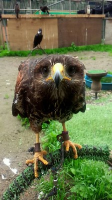 『未来』という名の。