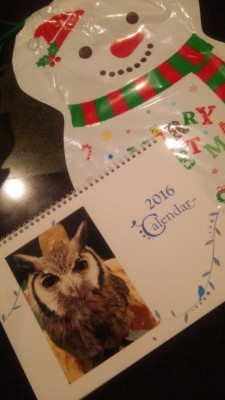 新しい家族とカレンダー♪