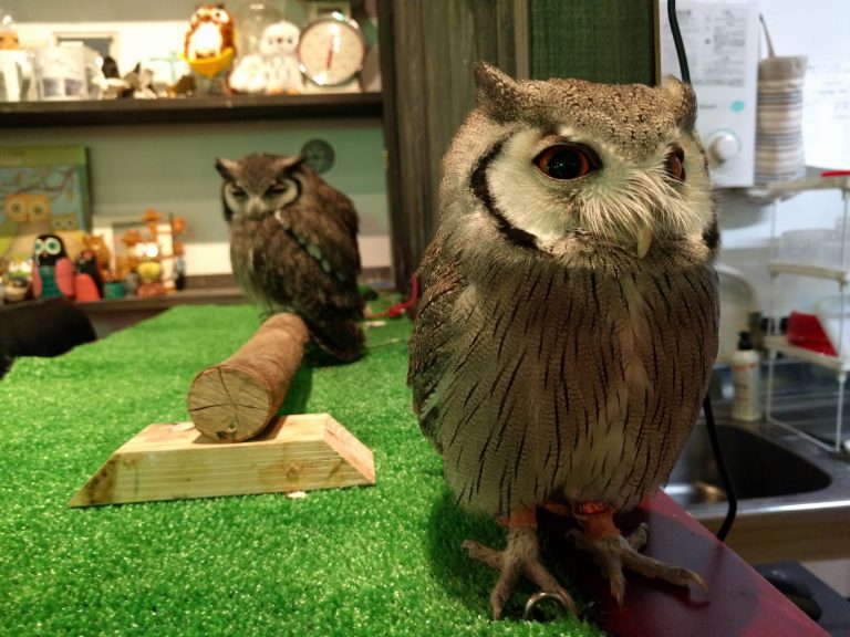 お久しぶりで家族紹介♫