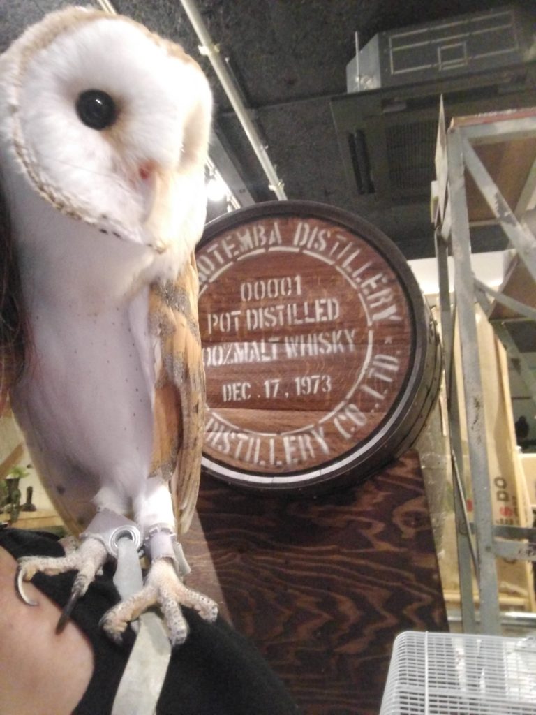 しずくと遊ぶ。