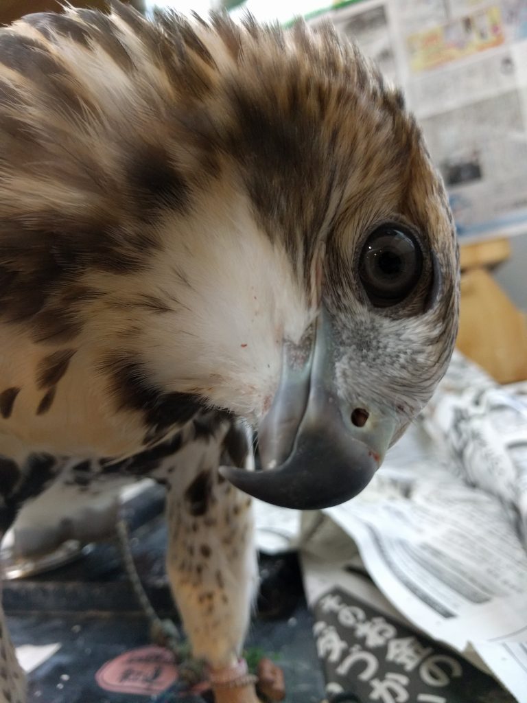 とっくにオープンしてました。