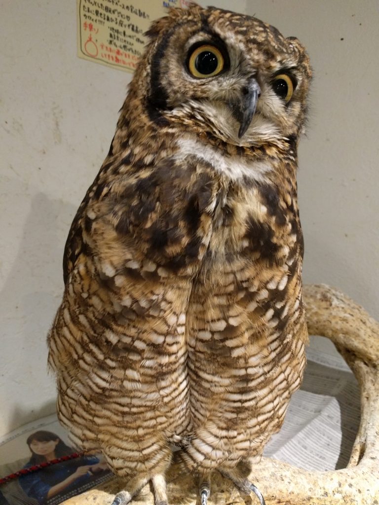 こんなときは。。