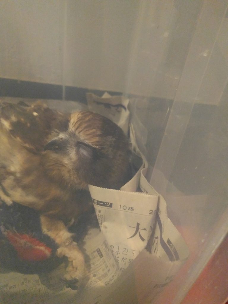 急に優しくされると不安？