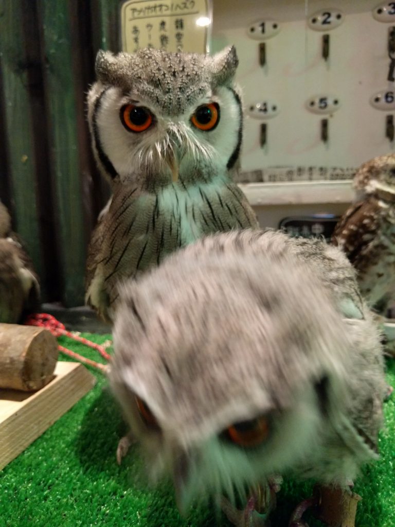 現実逃避か〜ら〜の〜？妄想癖。