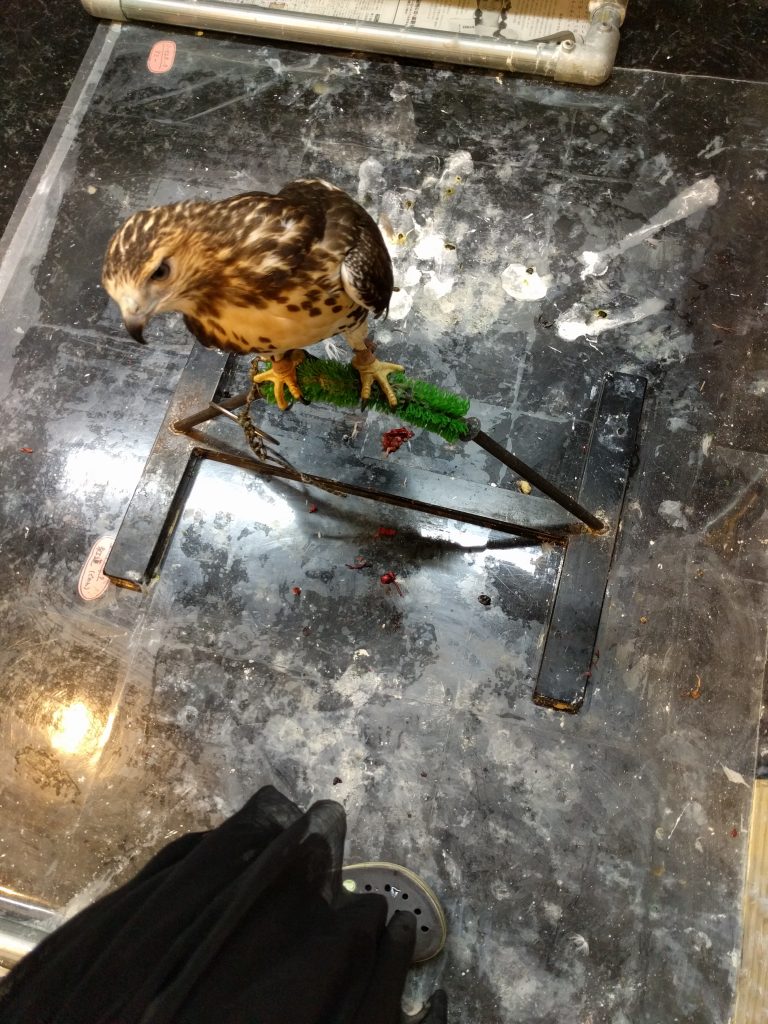 音もなく忍び寄るぐー。気がついたときにはもう遅い。