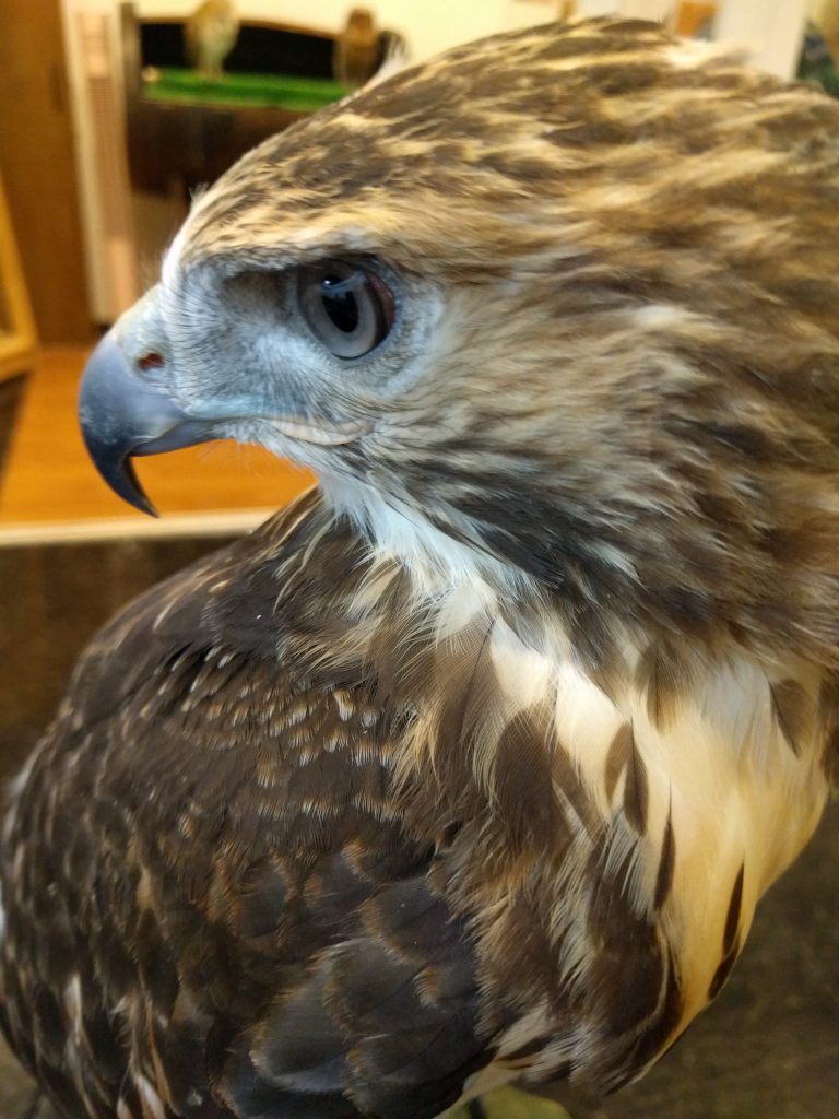 訓練3日目。ケアレスミス連発。