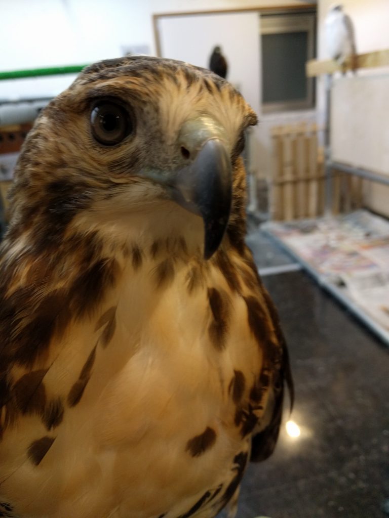 寒いので、お気をつけください。