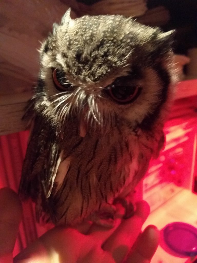 こんなことってあるのかな。