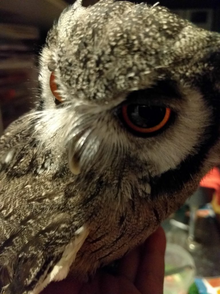 そろそろ社会復帰を。