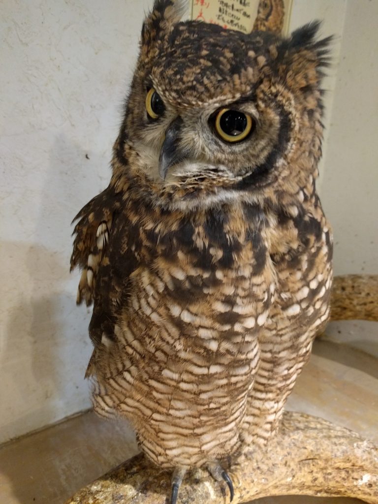 今日はお祭り、誰と行く？