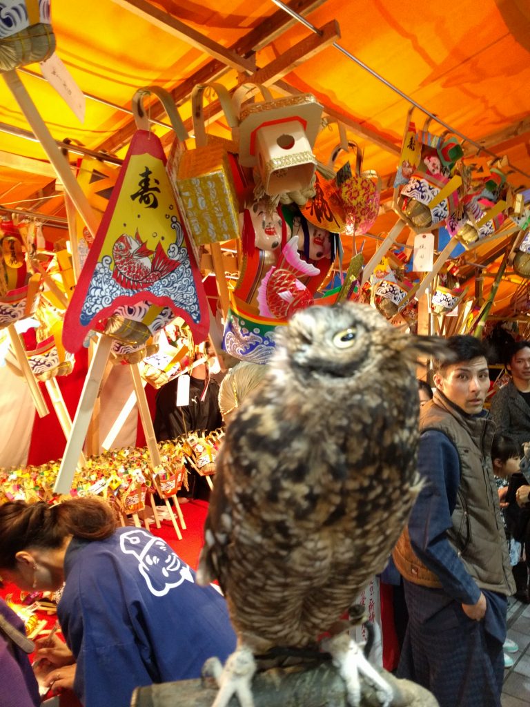 こじろう in えべっさん