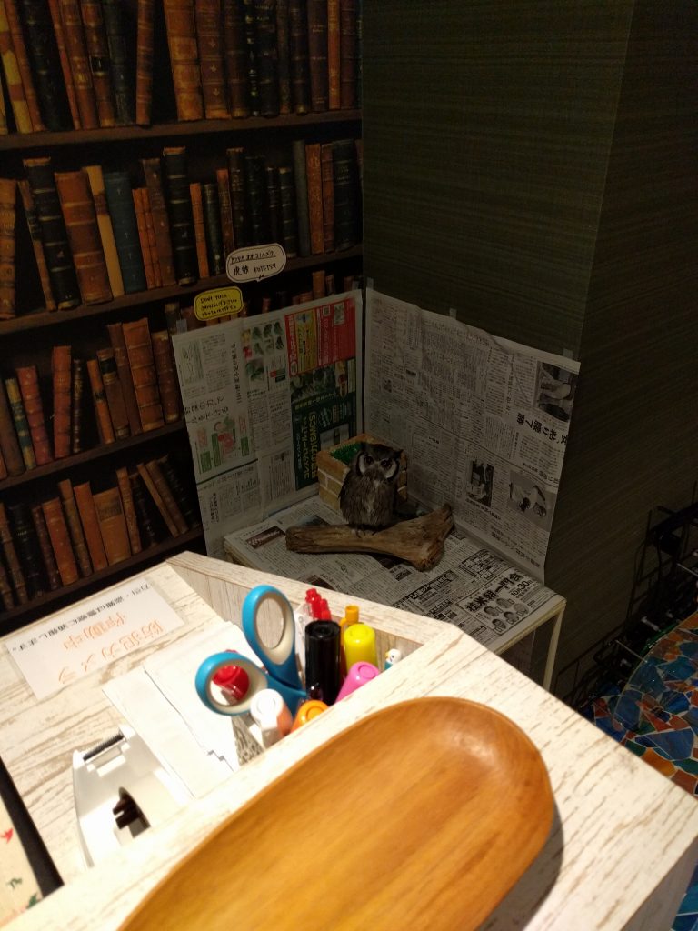 こてっちゃん、看板フクロウになる。ただしインコカフェの。