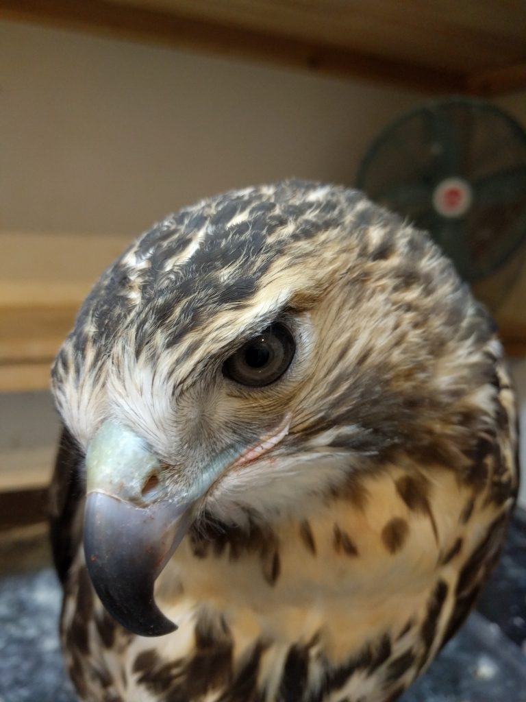 36時間寝続けたい願望。