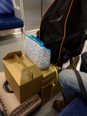 栞鳳ちゃん、忘れてないよ。